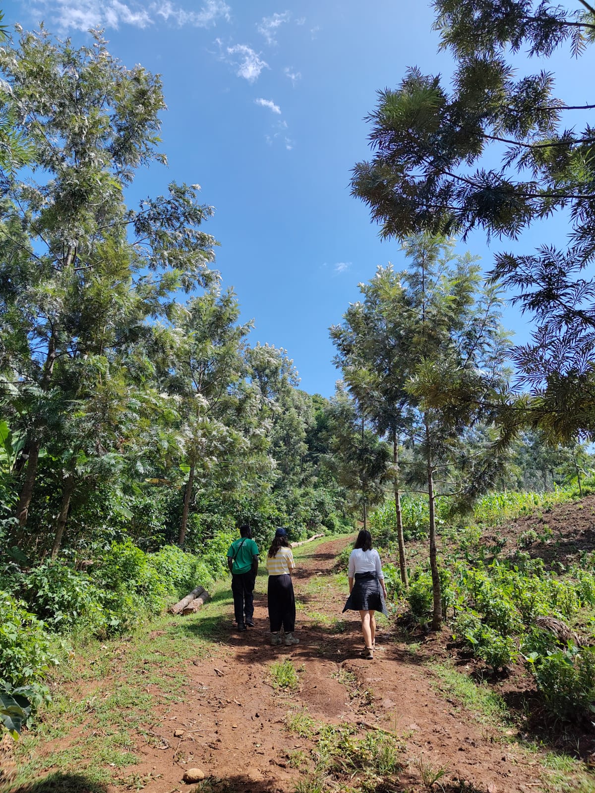 the top of a mountain
              there is grass. You can see another mountain and a lake